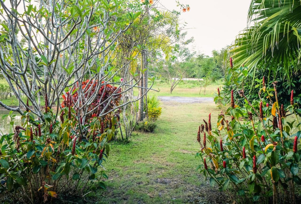 Rommai Villa Chiang Rai Ban Pa Sang Εξωτερικό φωτογραφία